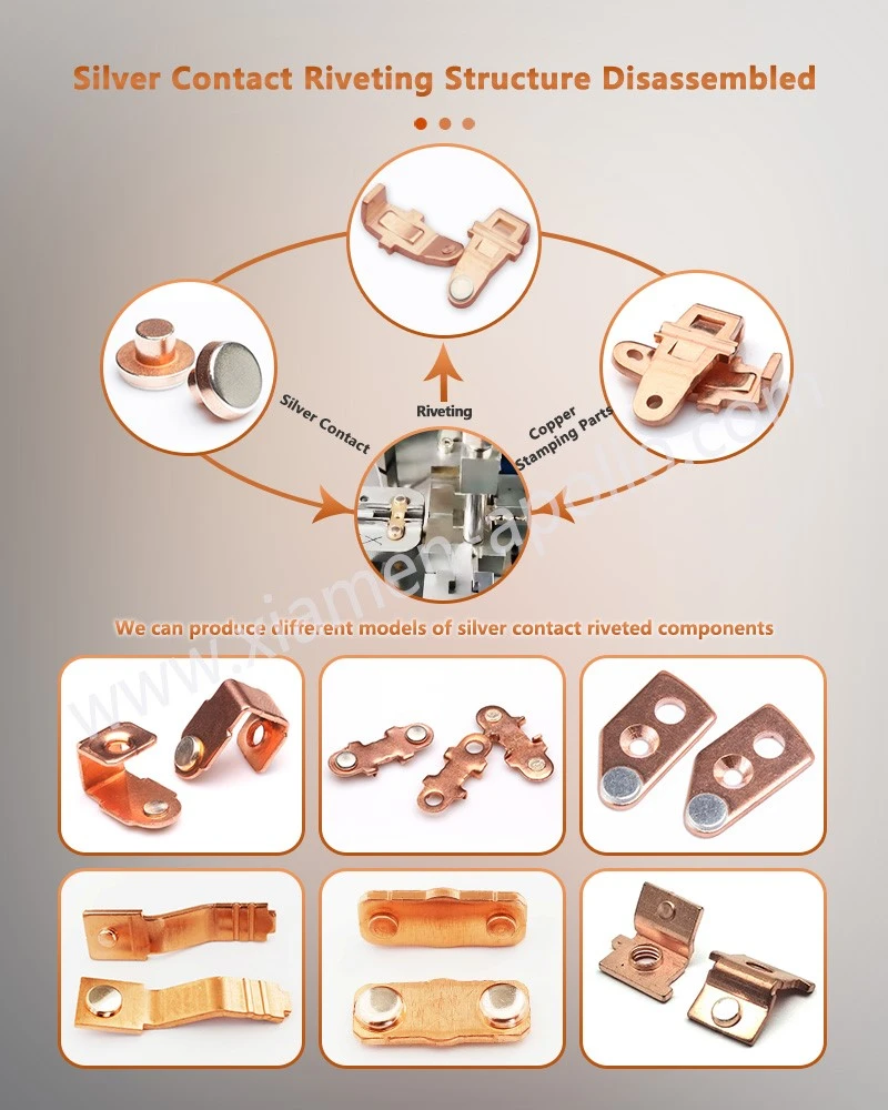 Silver Contact Riveted with Copper Terminal Structure Disassembled Silver Contact Riveted with Copper Terminal Structure Disassembled
