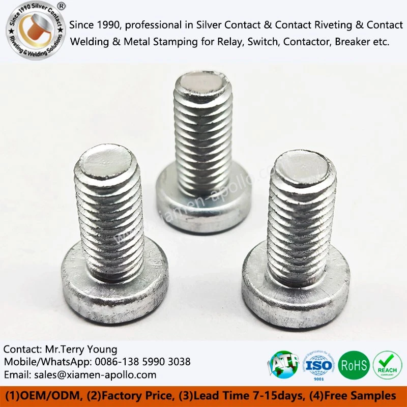 Flat Head Screw