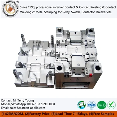 Enhancing Plastic Mold Factory Efficiency: Professional Mold Manufacturer Lau...
