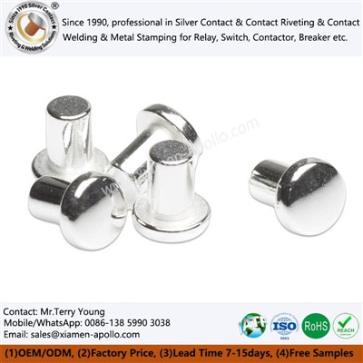 Silver Contact Empowerment: Market Trends And Industry Development Of Wall Sw...