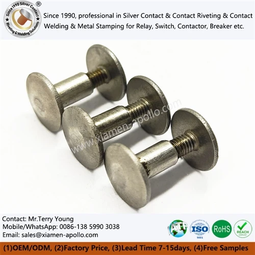 Current Status And Market Opportunities in The Leather Fastener Sub-segment