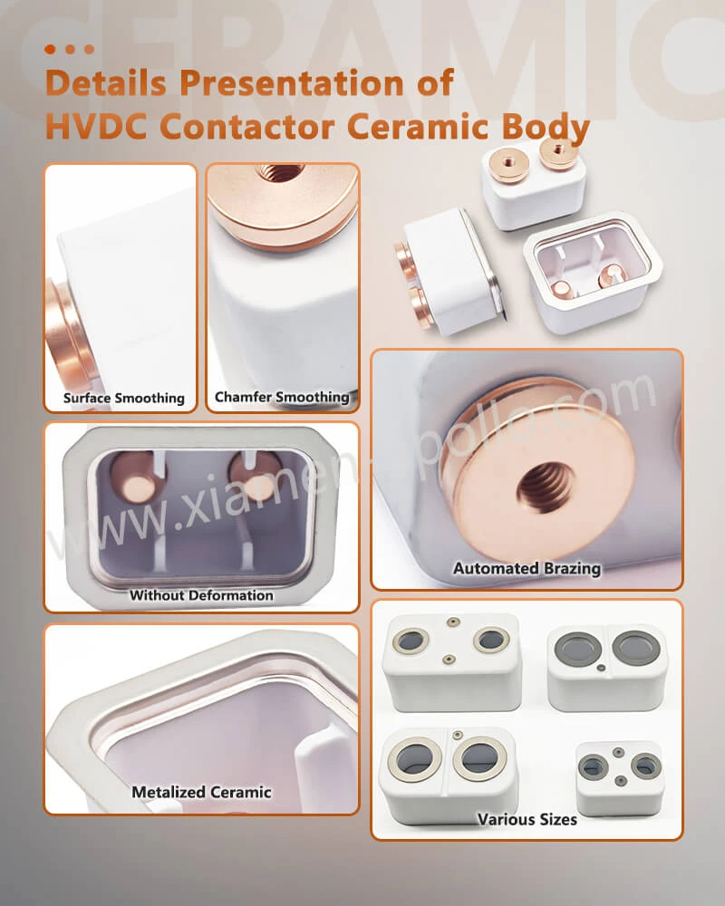 Details Presentation of High Purity Alumina Precision Advanced Ceramic Metallization Parts Details Presentation of High Purity Alumina Precision Advanced Ceramic Metallization Parts