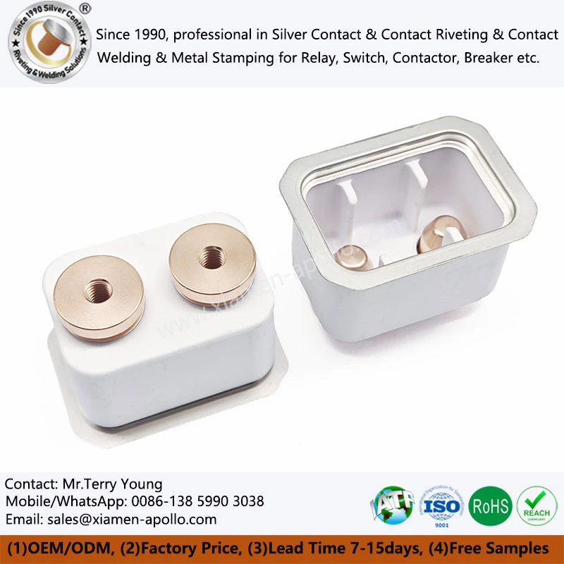 High Purity Alumina Precision Advanced Ceramic Metallization Parts High Purity Alumina Precision Advanced Ceramic Metallization Parts