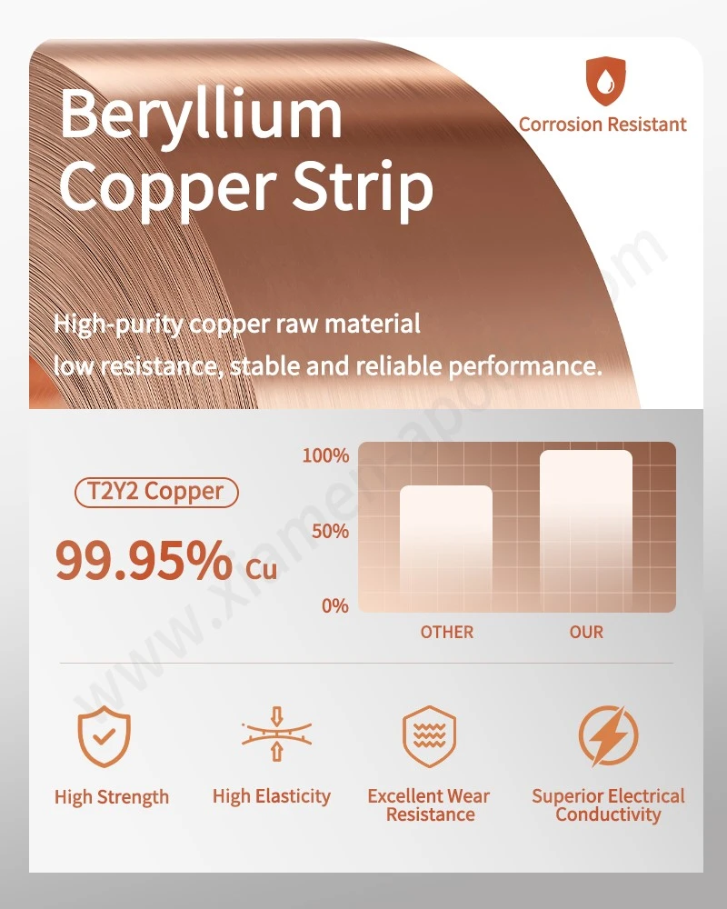 Beryllium Copper Strip for Moving Spring Riveted Assembly For Relays Beryllium Copper Strip for Moving Spring Riveted Assembly For Relays
