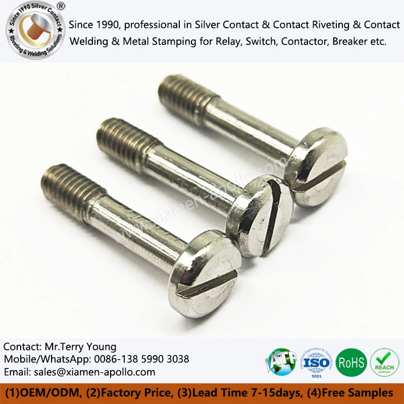 Slotted Head Cylindrical Screws