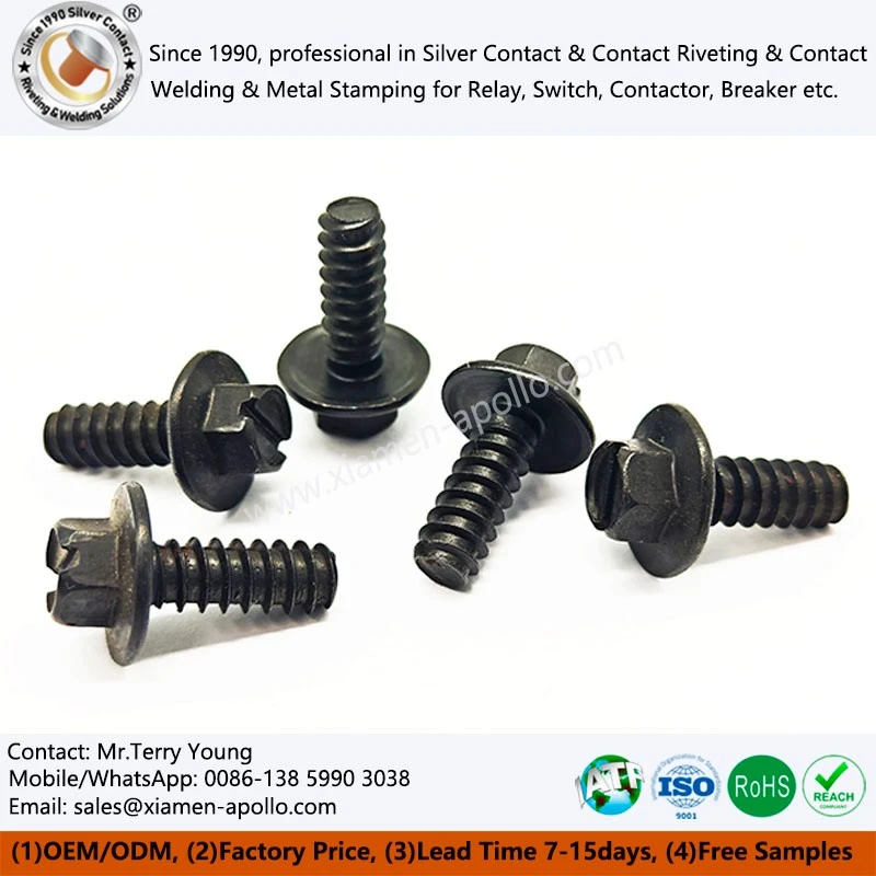 Stainless Steel Screw